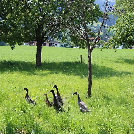 Appartement Gasteighof-2 By Interhome