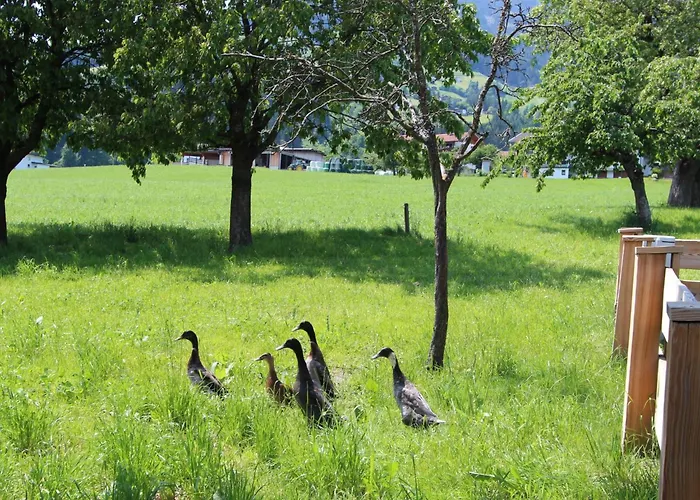 Apartment Gasteighof-2 By Interhome